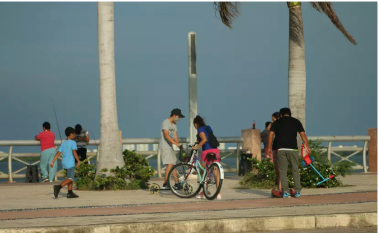 A 5 años de la devastación ambiental, Cancunenses recuperan Tajamar