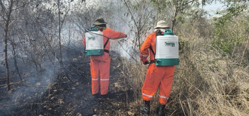 Altas temperaturas y rachas de viento en abril: Procivy