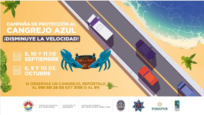 ARRANCA CAMPAÑA DE PROTECCIÓN AL CANGREJO AZUL