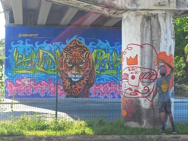 <a href="https://www.lajornadamaya.mx/quintana-roo/196226/artistas-urbanos-decoran-el-puente-a-la-entrada-de-chemuyil#">Artistas urbanos decoran el puente a la entrada de Chemuyil</a>