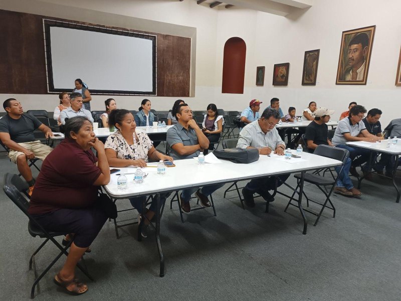 Avanza SEDARPE con mesas de trabajo para fortalecer la apicultura en Quintana Roo