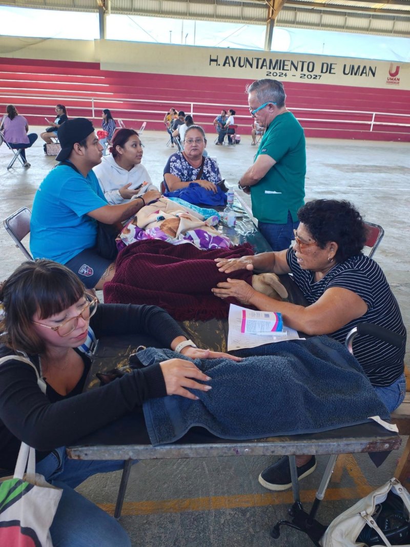 Avanzan las jornadas gratuitas de esterilización canina y felina