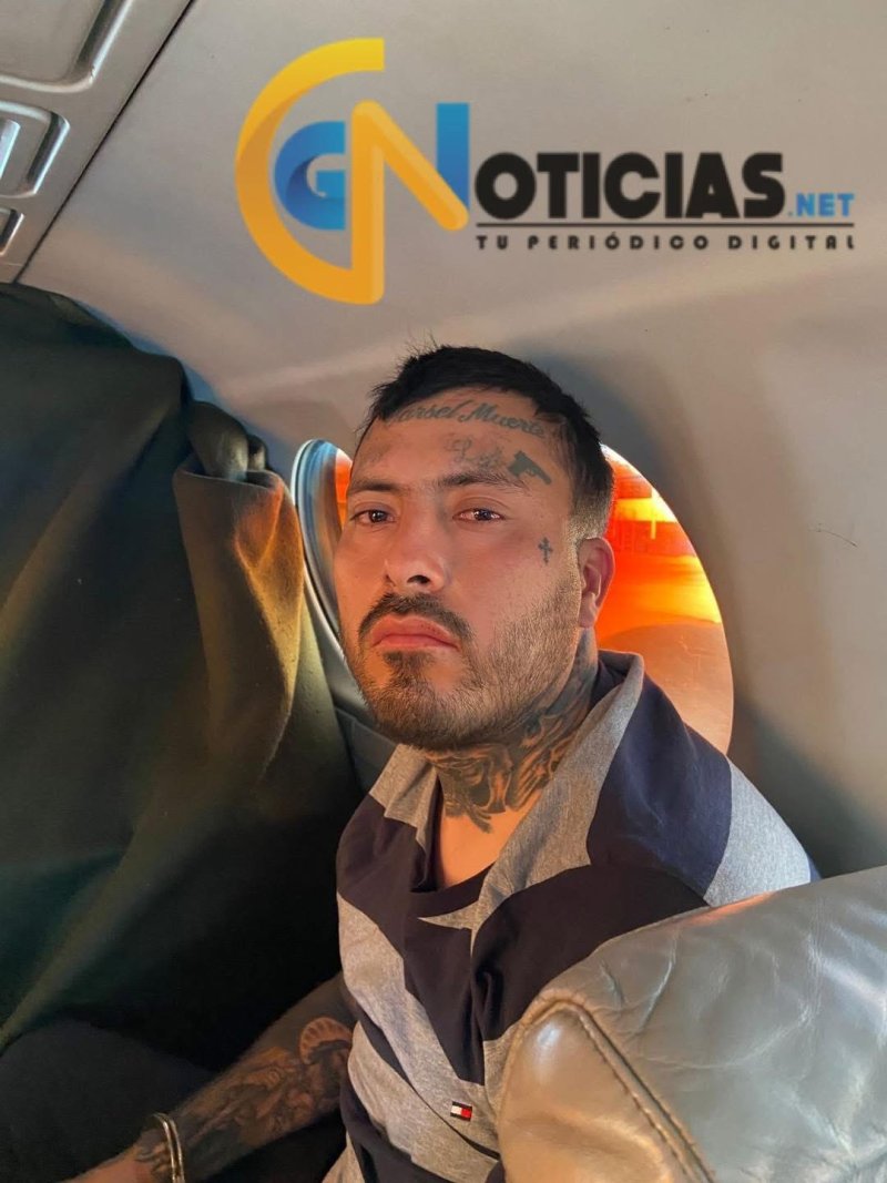 Cae “El Ricky” líder del cartel de Noreste en Nuevo León