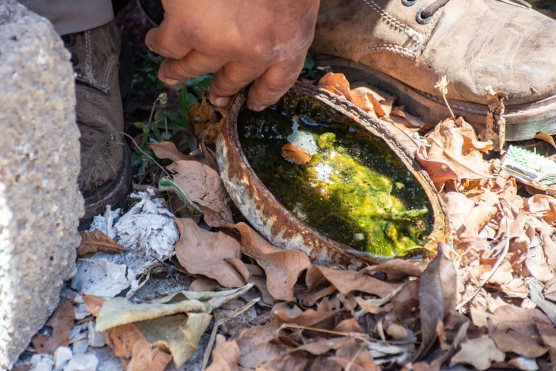 Certifica SSY Cuatro Entornos Libres de Criaderos de Mosquitos en Sucilá