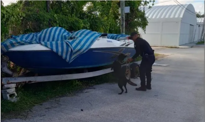 Certifican en Tulum a elementos para manejo de caninos entrenados contra narcóticos
