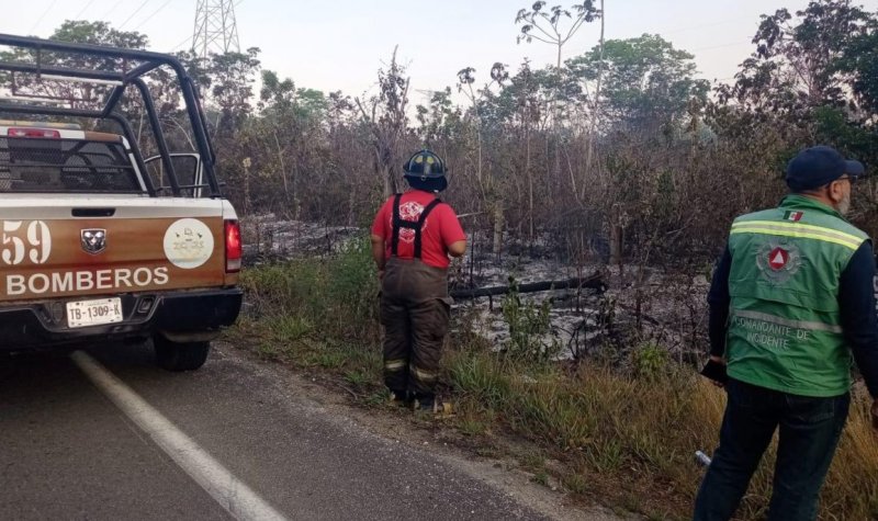 Consume fuego 150 hectáreas de área verde en Benito Juárez