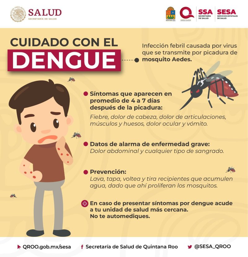 ¡Cuidado con el dengue!