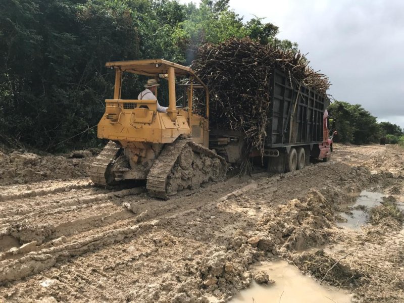 Denuncian cañeros afectaciones a caminos saca cosechas en la Ribera del Río Hondo