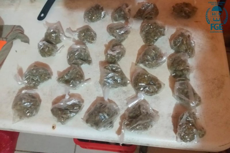 Detienen a mujer y aseguran dosis de drogas durante cateo en casa de Felipe Carrillo Puerto