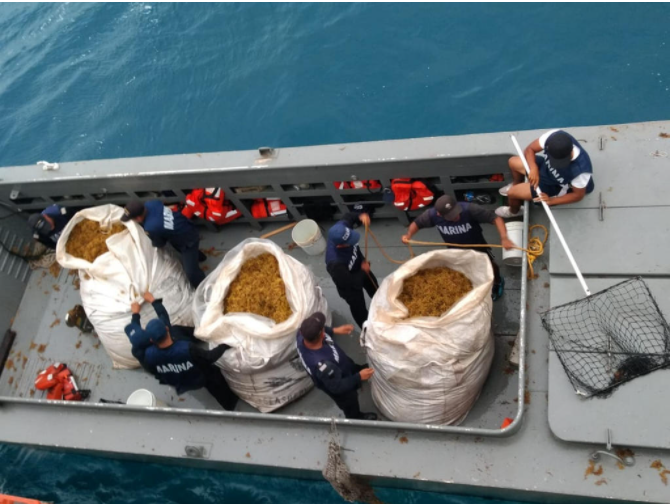 Entrarán en función dos embarcaciones sargaceras en solidaridad