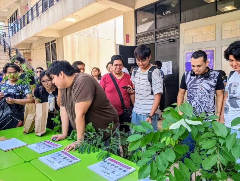 Estudiantes de la UPY se suman a jornada de reforestación