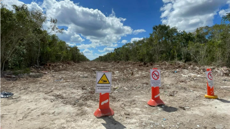 Exigen organizaciones civiles y sindicatos parar devastación del Tren Maya en Quintana Roo