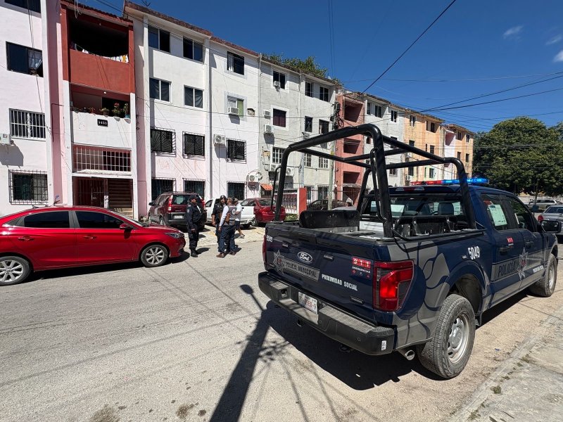 Fiscalía de Quintana Roo investiga presunto caso de maltrato animal en Cancún