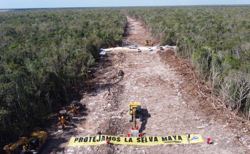 Greenpeace llama a suspender obras del Tren Maya