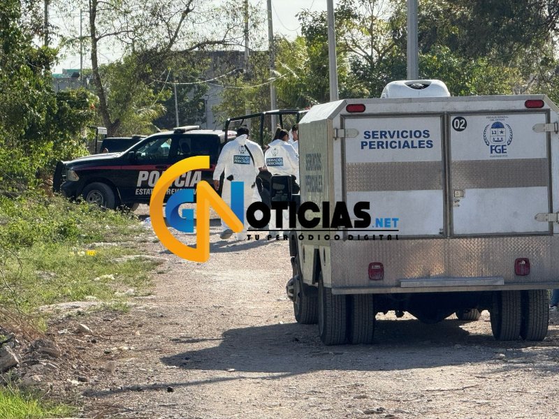 Encuentran cuerpo de mujer con signos de tortura en la Región 106 de Cancún