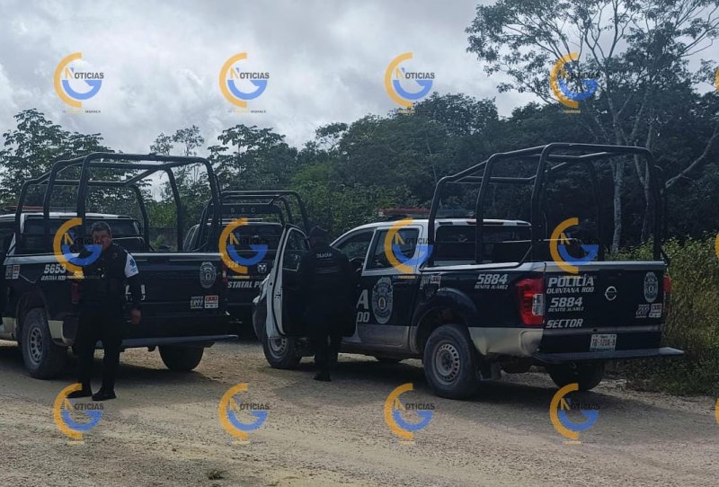 Hallan cuerpo flotando en cenote de la colonia Avante; investigan las causas