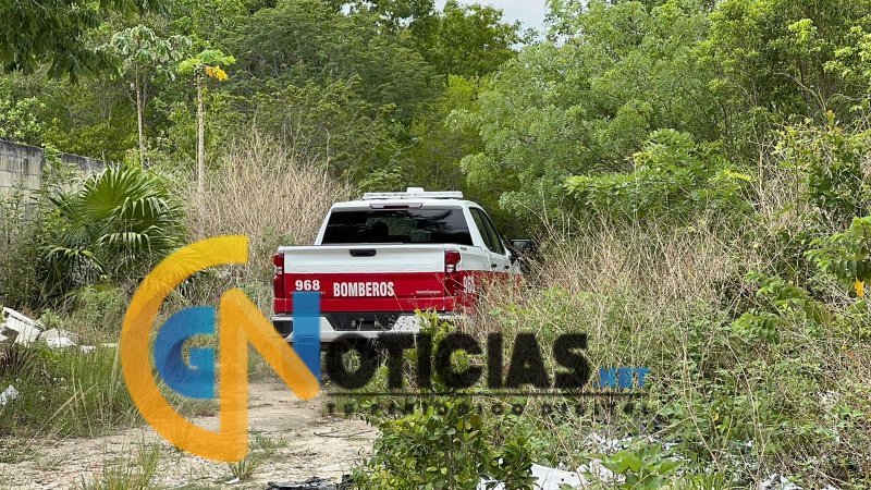 Hallan restos humanos en cenote de Alfredo V. Bonfil, cerca de la nueva Fiscalía “La Ceiba”