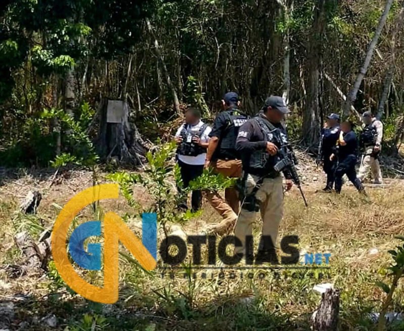 Hallazgo macabro en el sur de Quintana Roo: localizan restos calcinados en Limones