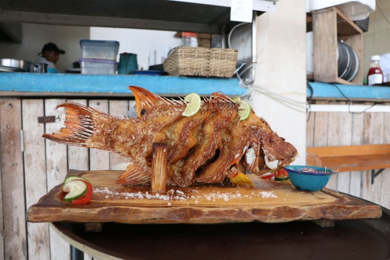 Sufren pescadores de Quintana Roo ante escasez de escama por pesca furtiva y mal clima
