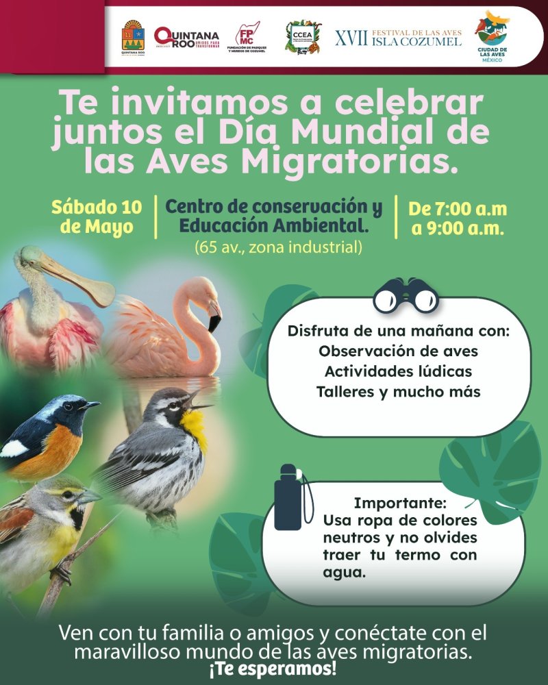 Invita la FPMC a celebrar el Día Mundial de las Aves Migratorias