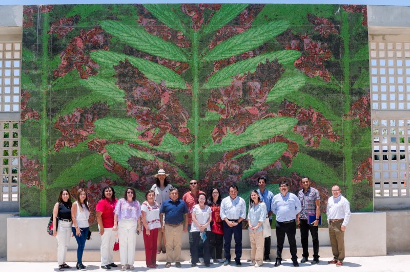 Invitan a estudiar en la Universidad Nacional Rosario Castellanos,  sede Kanasín