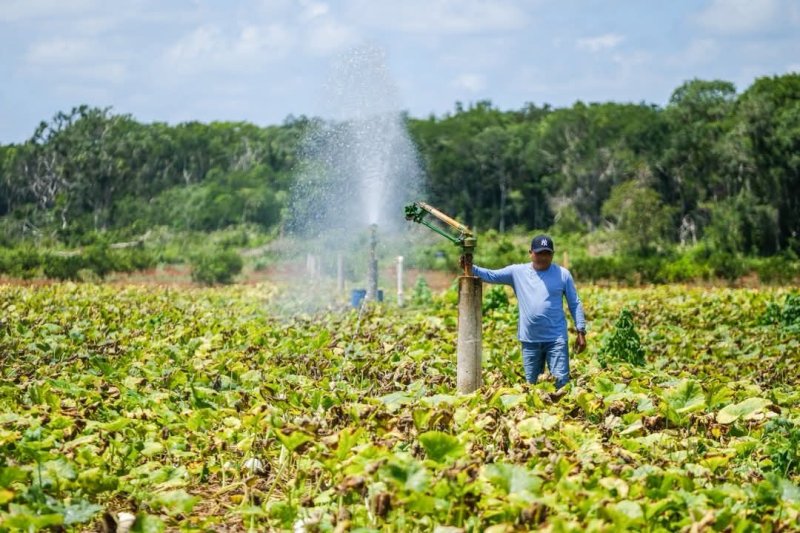 Invitan SEDARPE y CONAGUA a regularizar concesiones de agua para acceder a apoyos