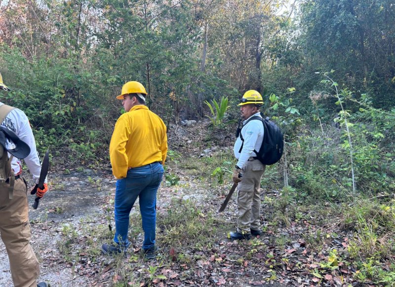La COEPROC y CONAFOR capacitan a combatientes de incendios forestales