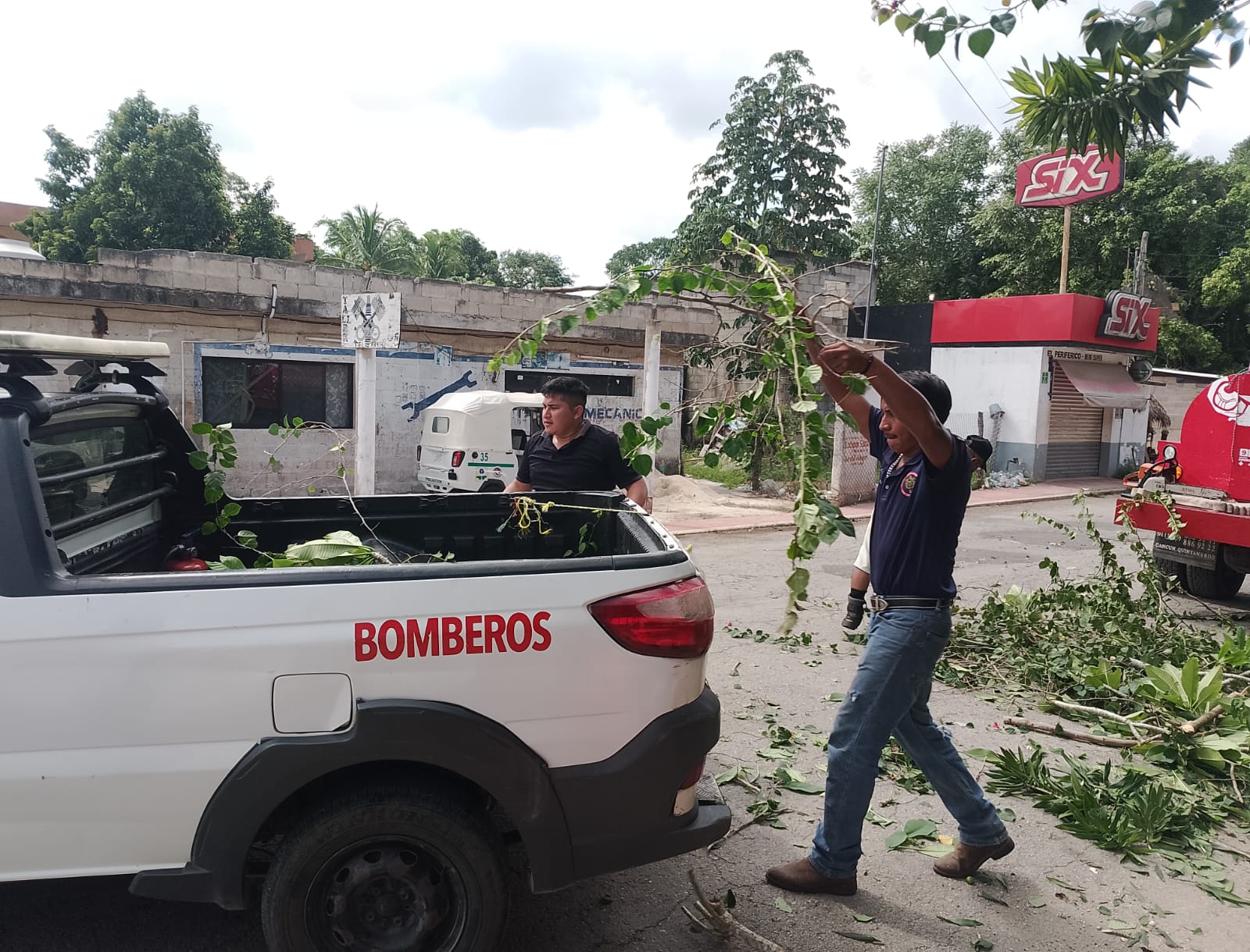 Liberan maleza en señales de Tránsito para la prevención de accidentes
