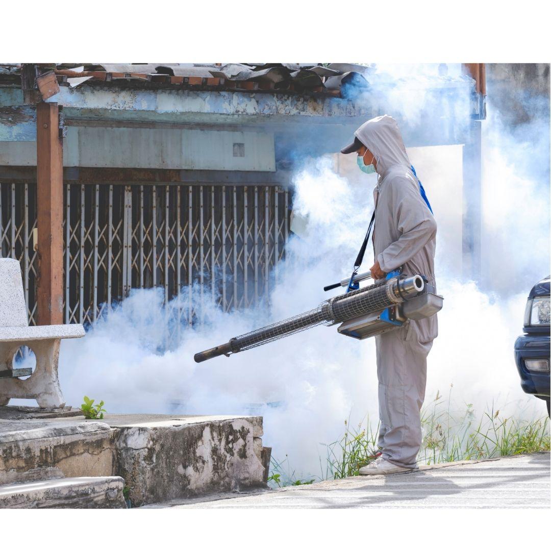 Lucha frontal contra el dengue en Playa del Carmen