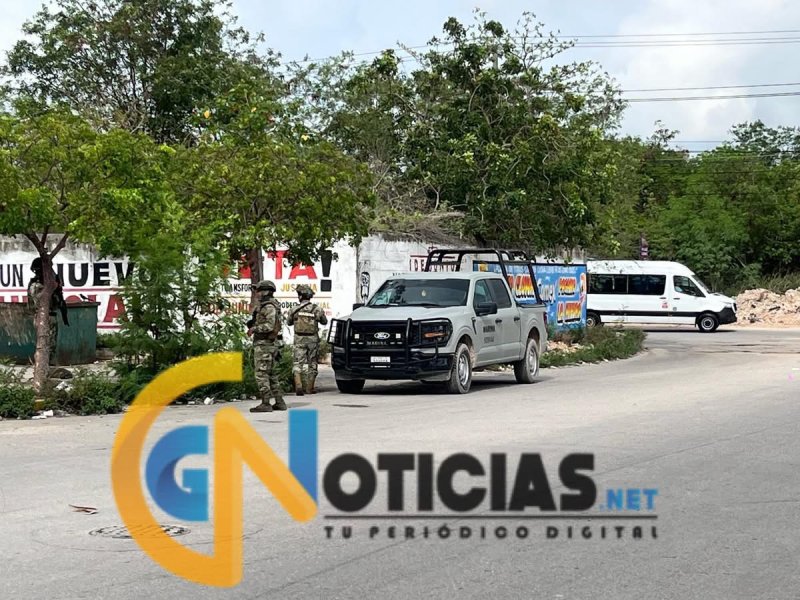 Macabro hallazgo en Cancún: encuentran cuerpo descuartizado en la Región 259