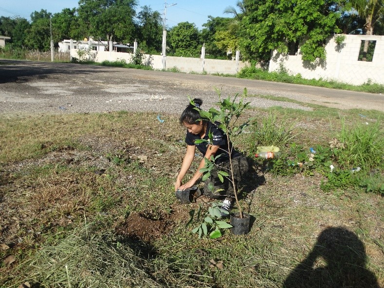 Por indicaciones del presidente municipal Nivardo Mena, la Coordinación Forestal del Ayuntamiento de Lázaro Cárdenas reforestó terrenos de la expoferia dentro de las celebraciones del “Día del Árbol”.
