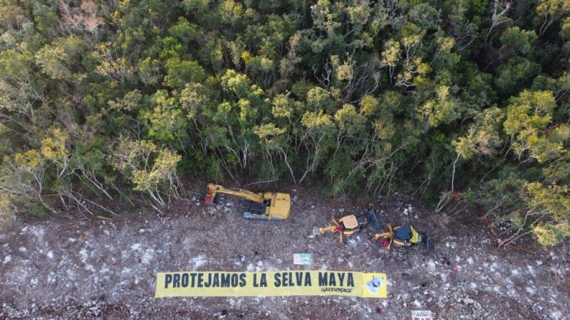 Activistas con su cuerpo inmovilizan maquinaria usada en la obra del Tren Maya/Greenpeace llama a proteger la selva.