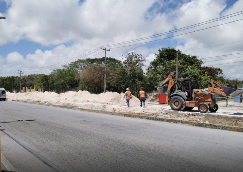 Confirma Aguakan que los árboles removidos por obra en la Avenida Prolongación Tulum de Cancún fueron rescatados y trasladados a un vivero para su posterior reubicación