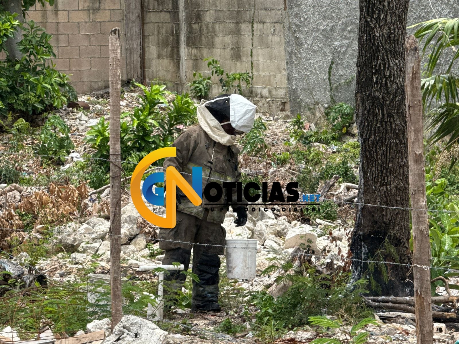 Un abuelito terminó su jornada laboran con el doctor luego de que lo atacaran abejas en la región 228