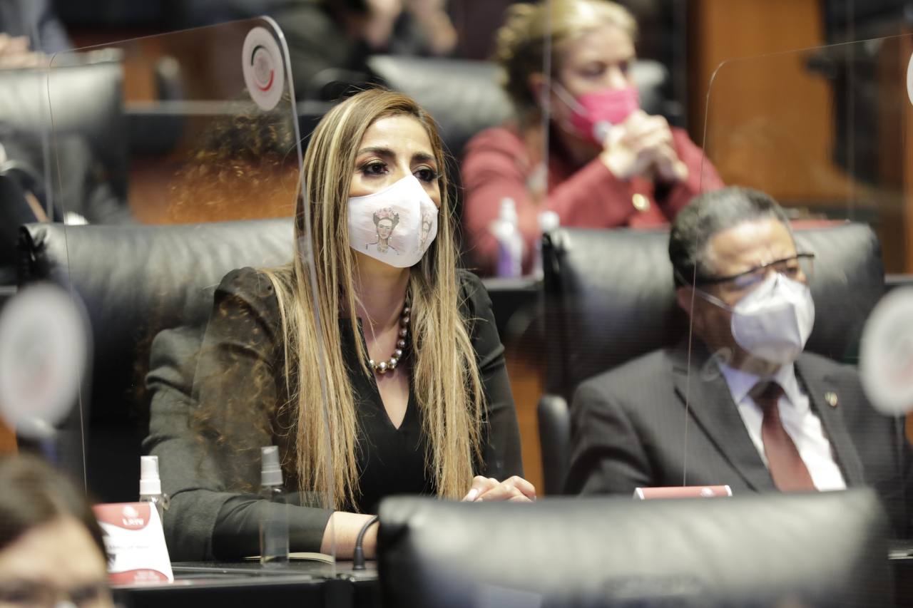 BUENOS RESULTADOS PARA LOS CIUDADANOS GRACIAS AL TRABAJO EN EL SENADO DURANTE FEBRERO: MARYBEL VILLEGAS.