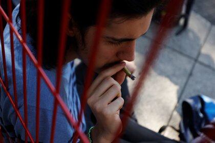 Todo sobre el uso lúdico de la marihuana en México: cuántas plantas se podrán tener por persona y cuáles serán las sanciones