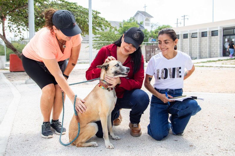 Con Estefanía Mercado al frente, Playa del Carmen está a un paso de hacer historia con su primera clínica gratuita para animales