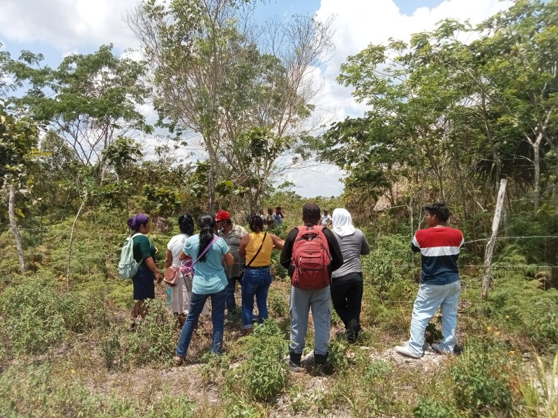 Localiza FGE cuerpo de persona desaparecida en OPB y detiene a presunto responsable de homicidio