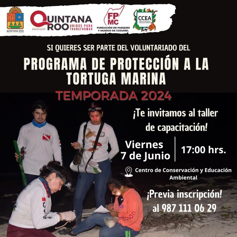 La Fundación de Parques y Museos convoca a la ciudadanía a ser parte del voluntariado del Programa de Protección a la Tortuga Marina