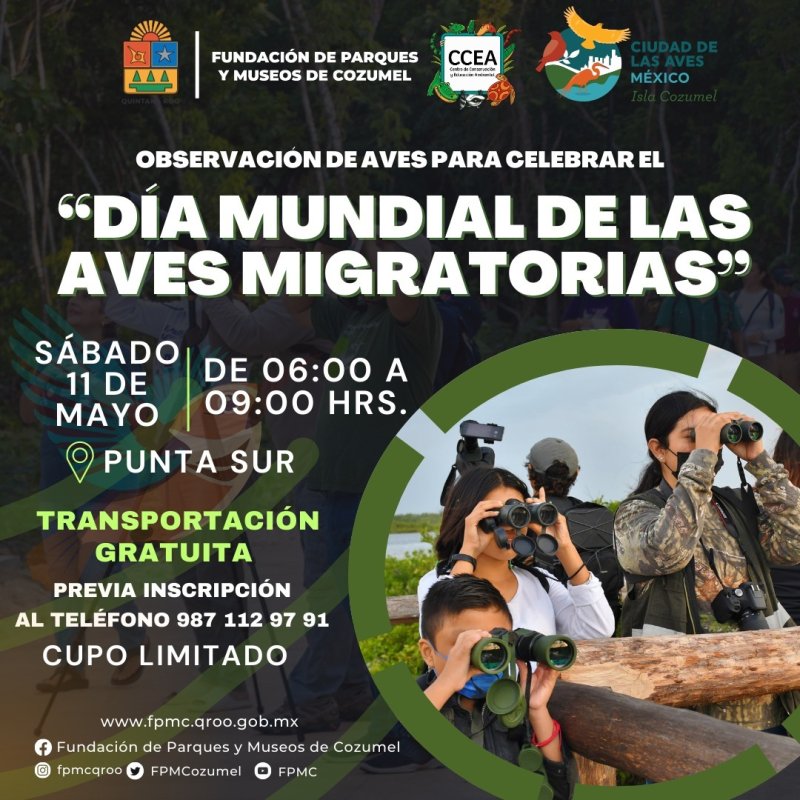La Fundación de Parques y Museos de Cozumel, invita a la comunidad a la observación de aves en Punta Sur