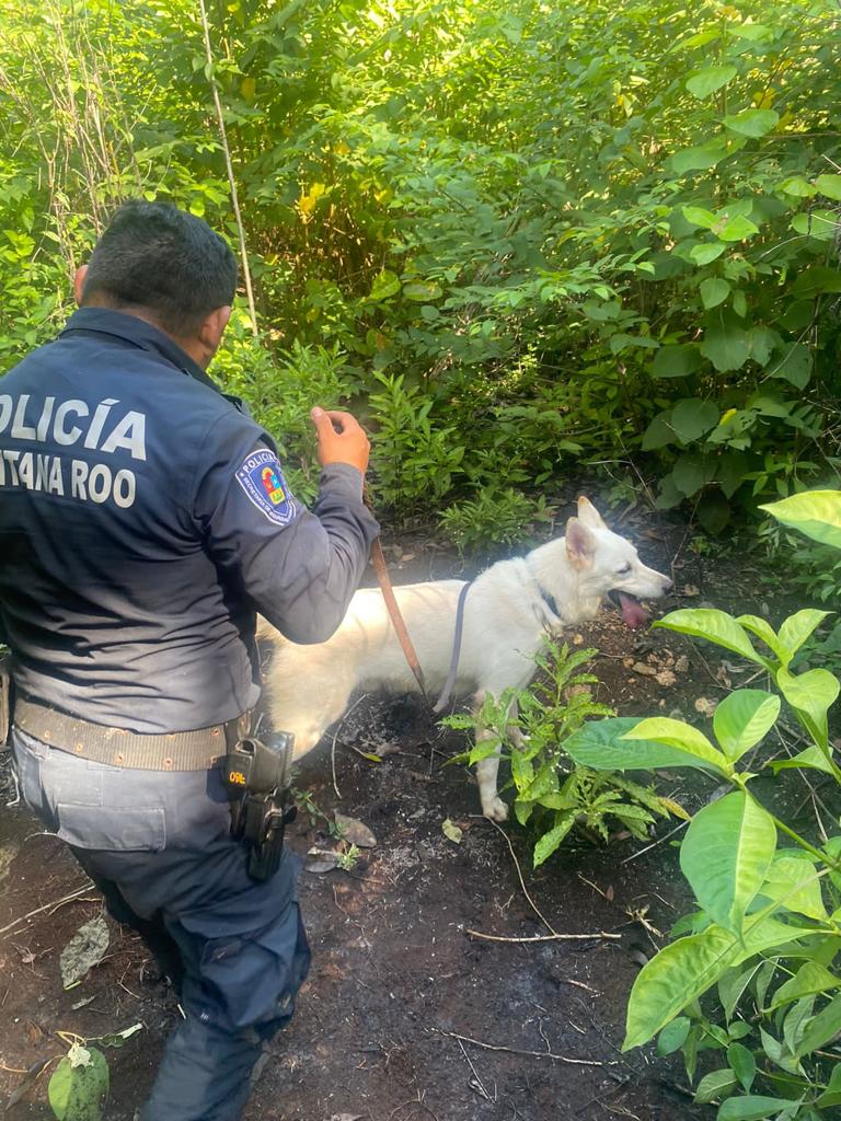 La Secretaría de Seguridad Ciudadana fortalece la prevención del delito, implementando acciones de proximidad con la ciudadanía para impulsar la reconstrucción del tejido social