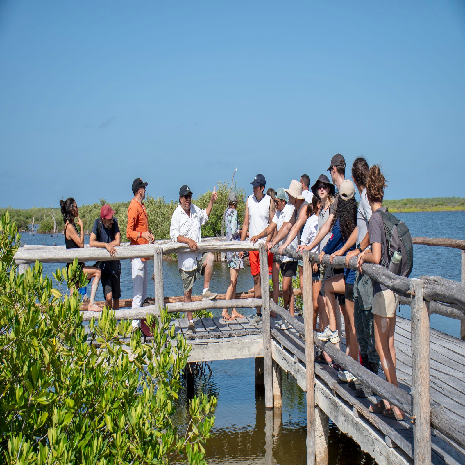 Participa comunidad en jornada de meditación y restauración de manglar en Punta Sur organizada por la FPMC
