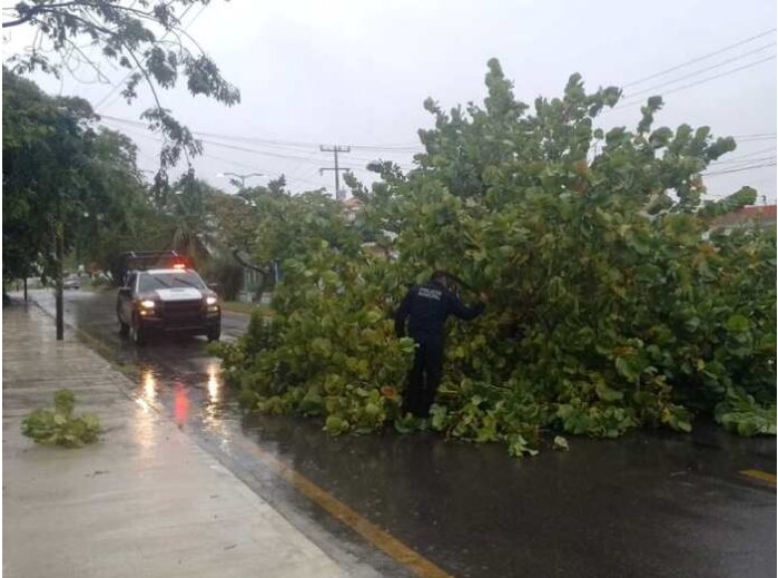 Paulatino regreso a la actividad en Chetumal tras las fuertes lluvias￼￼￼￼