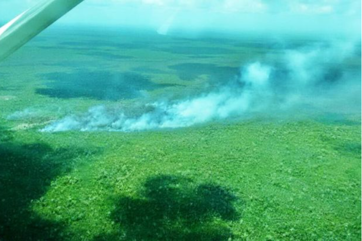 Permanecen activos tres incendios forestales en QRoo