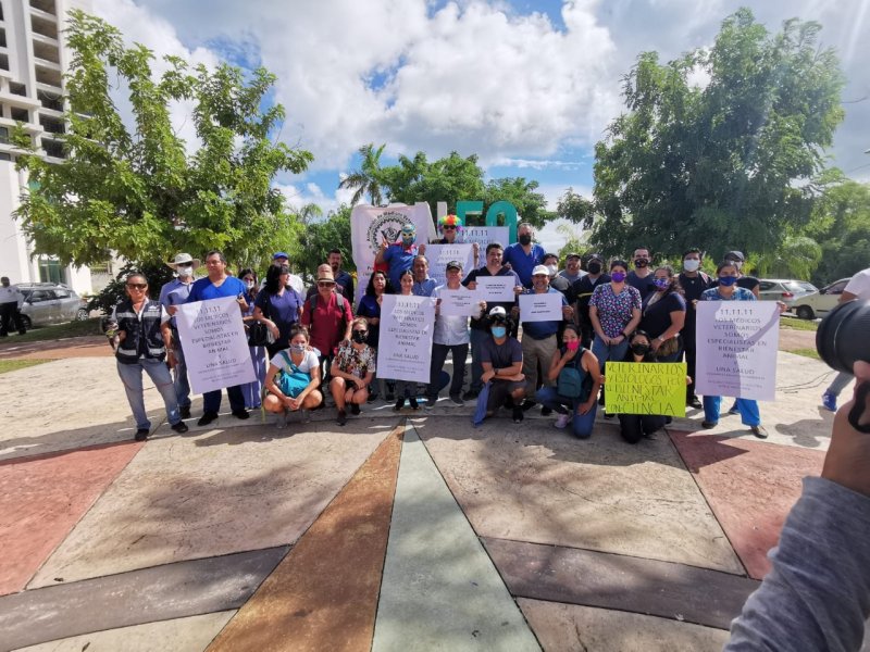 Protestan veterinarios en Cancún contra iniciativa de Ley de Bienestar Animal