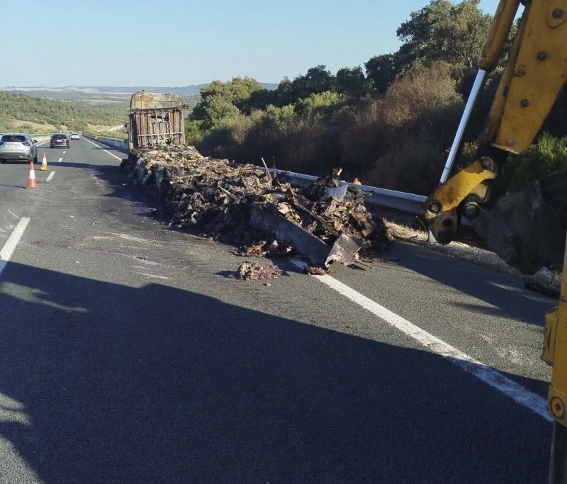 25 toneladas de pulpo podrido en A-381 de Cádiz