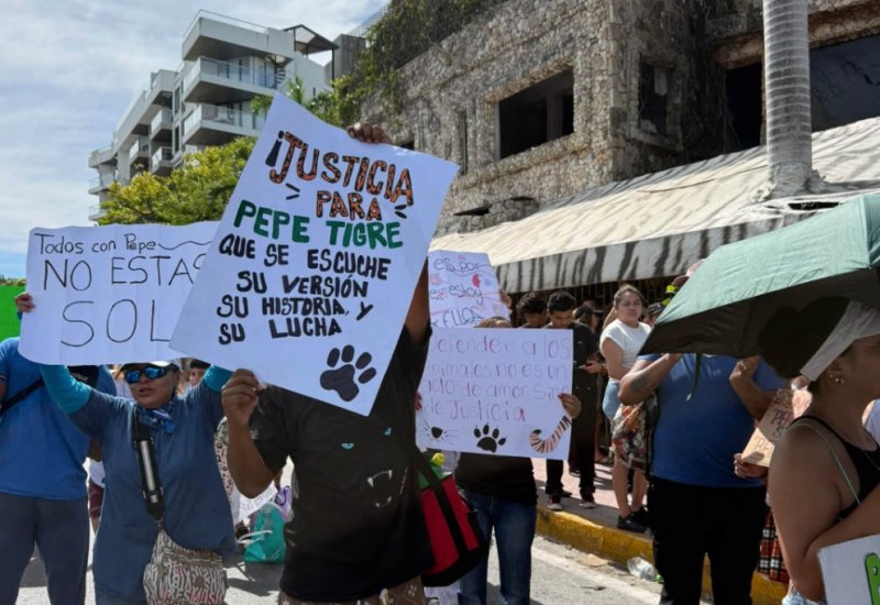 Ana Ramírez revive la polémica de 'Pepe Tigre' en Cancún