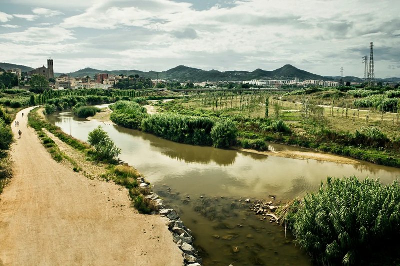 Entre los modernísimos rascacielos de cristal y acero del centro de Seúl hay garzas, carpas koi y