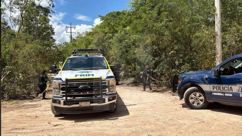 Hallan a dos personas sin vida en área verde de la SM 313