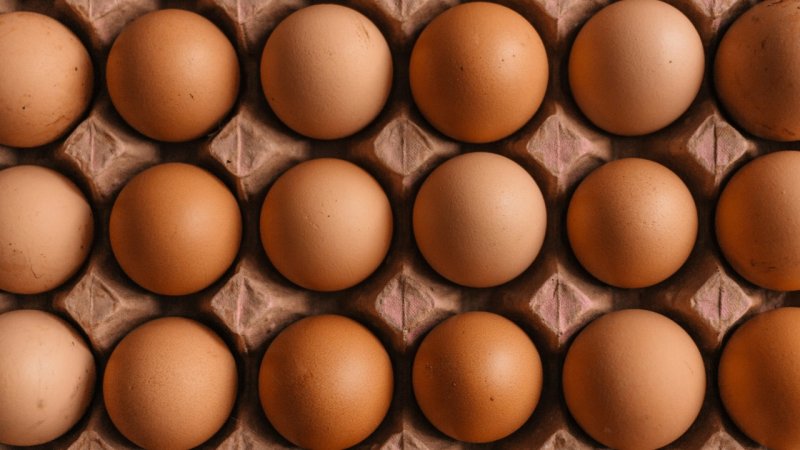¿Huachihuevo? Decomisan 14 mil huevos pirata en Durango; así los identificaron